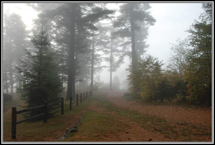 photo "***" tags: landscape, autumn, forest