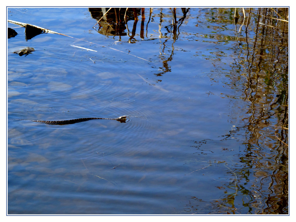 photo "***" tags: landscape, nature, water