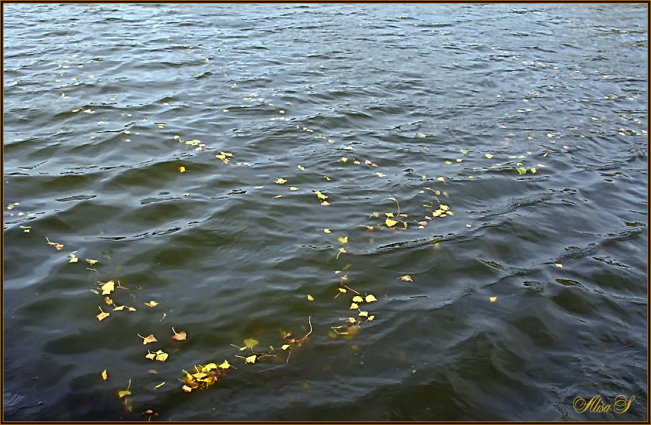 фото "Осень!" метки: пейзаж, вода, осень