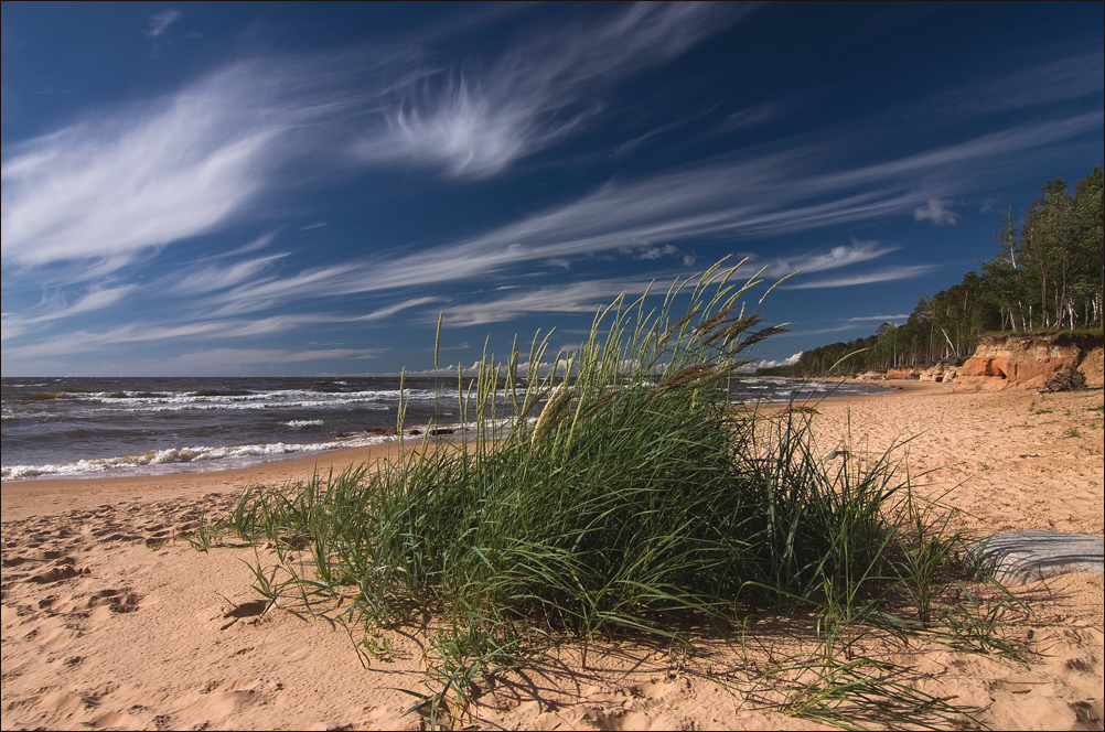 photo "***" tags: landscape, summer, water