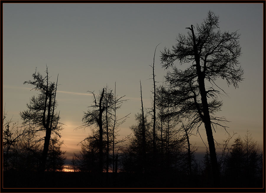 фото "Провожающие солнце" метки: пейзаж, закат, лес