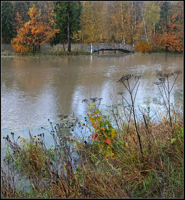 photo "Bridge" tags: , 