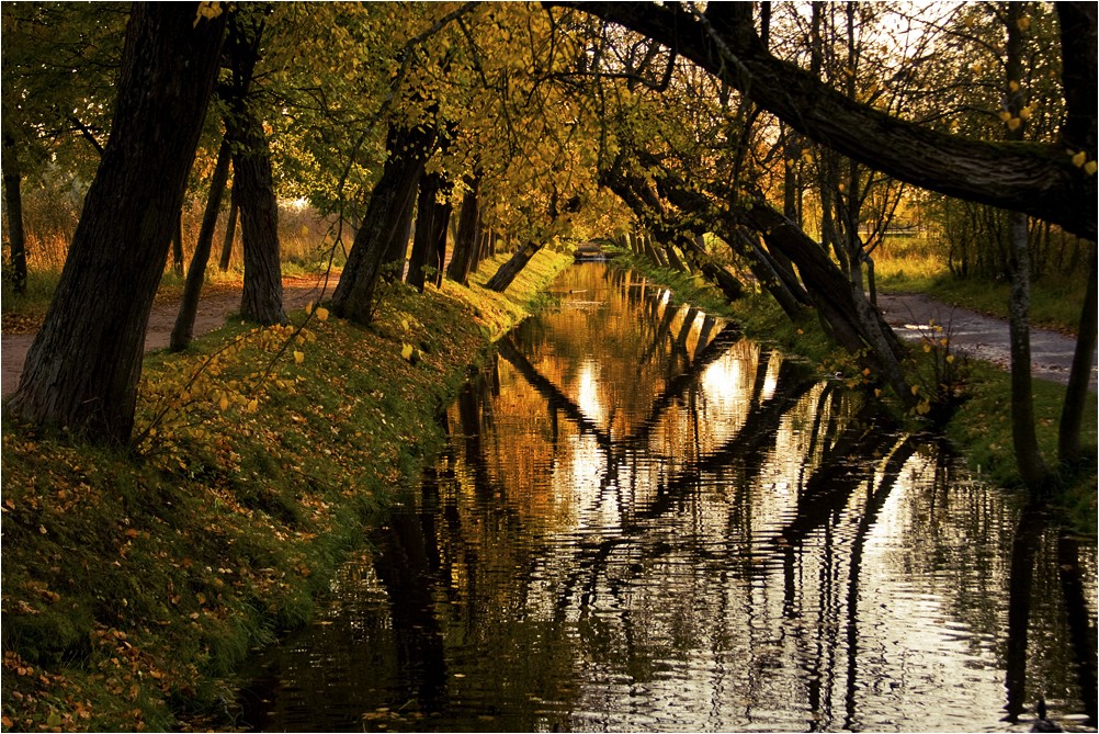 фото "Аллея осени" метки: пейзаж, лес, осень