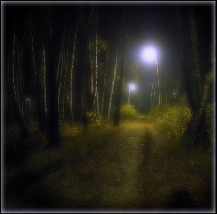 photo "Mystery" tags: landscape, forest, night