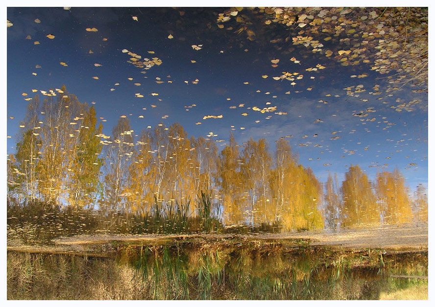 фото "Листопад" метки: пейзаж, вода, осень