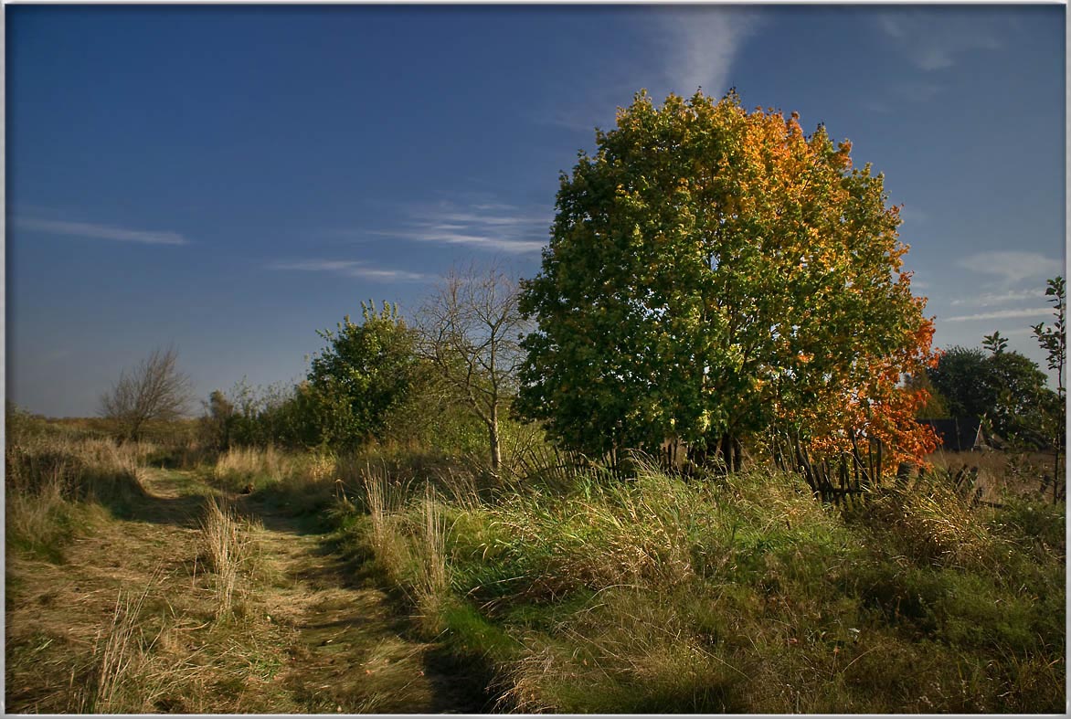 photo "Rural traffic light :)" tags: landscape, autumn