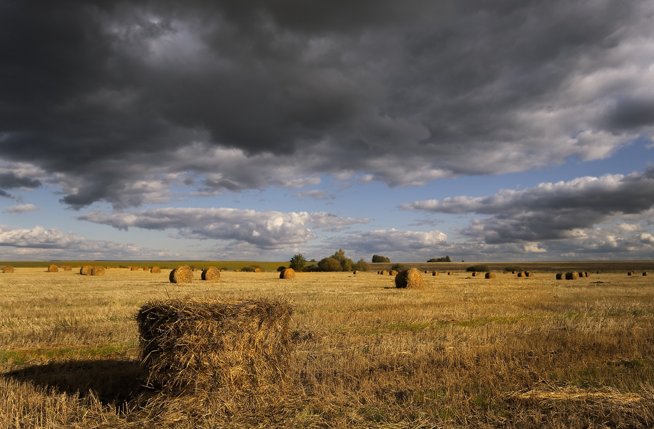 photo "***" tags: landscape, autumn