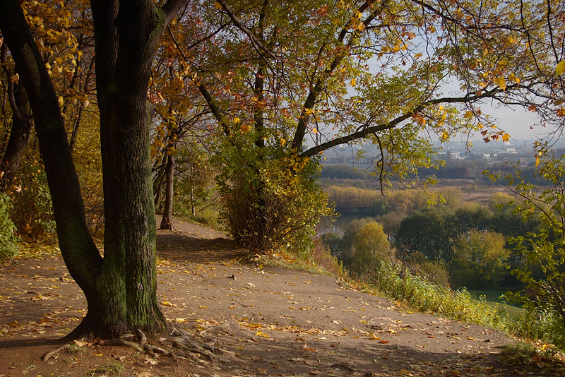 photo "***" tags: landscape, autumn