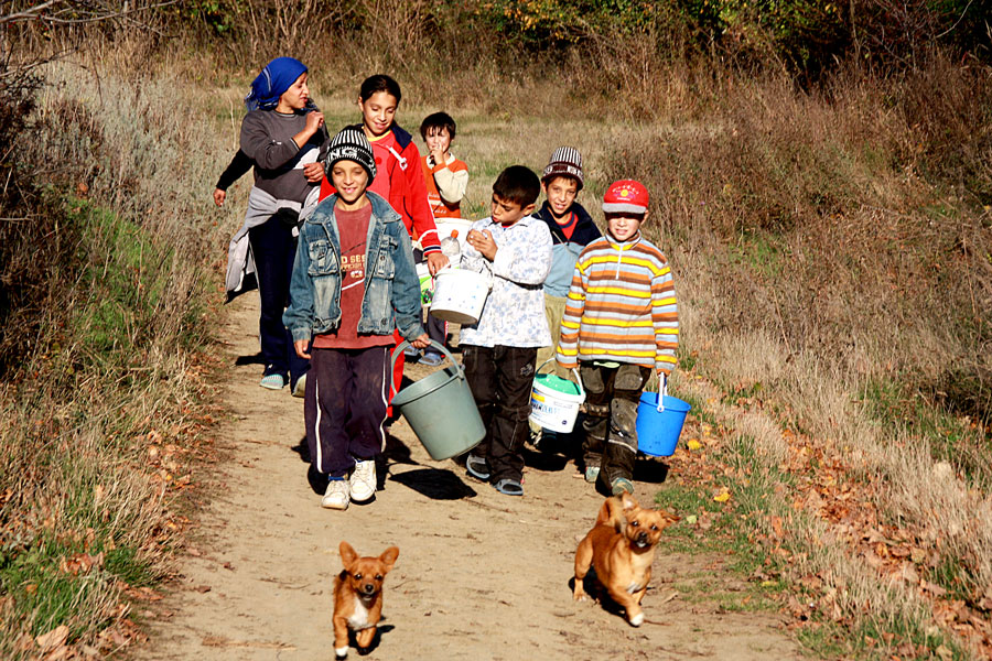 photo "The mushroom reapers" tags: reporting, travel, 