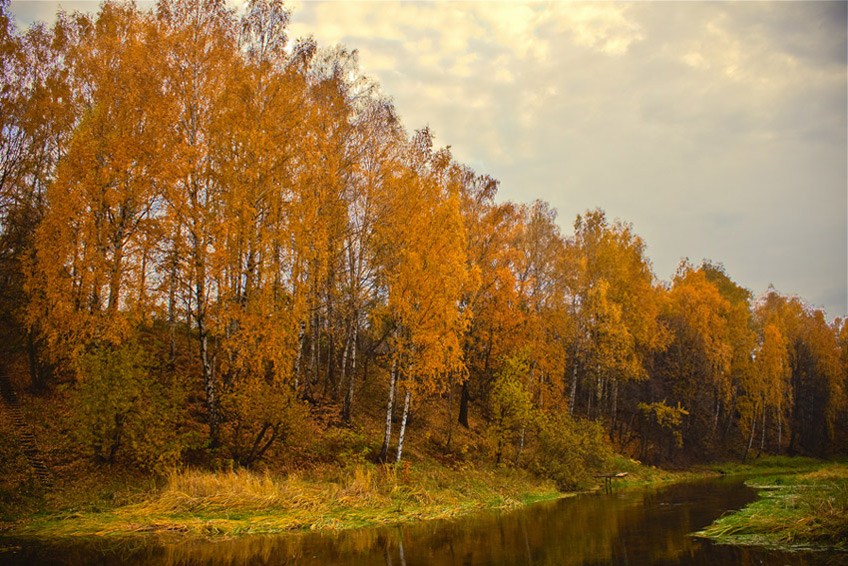 фото "Клязьма" метки: пейзаж, осень