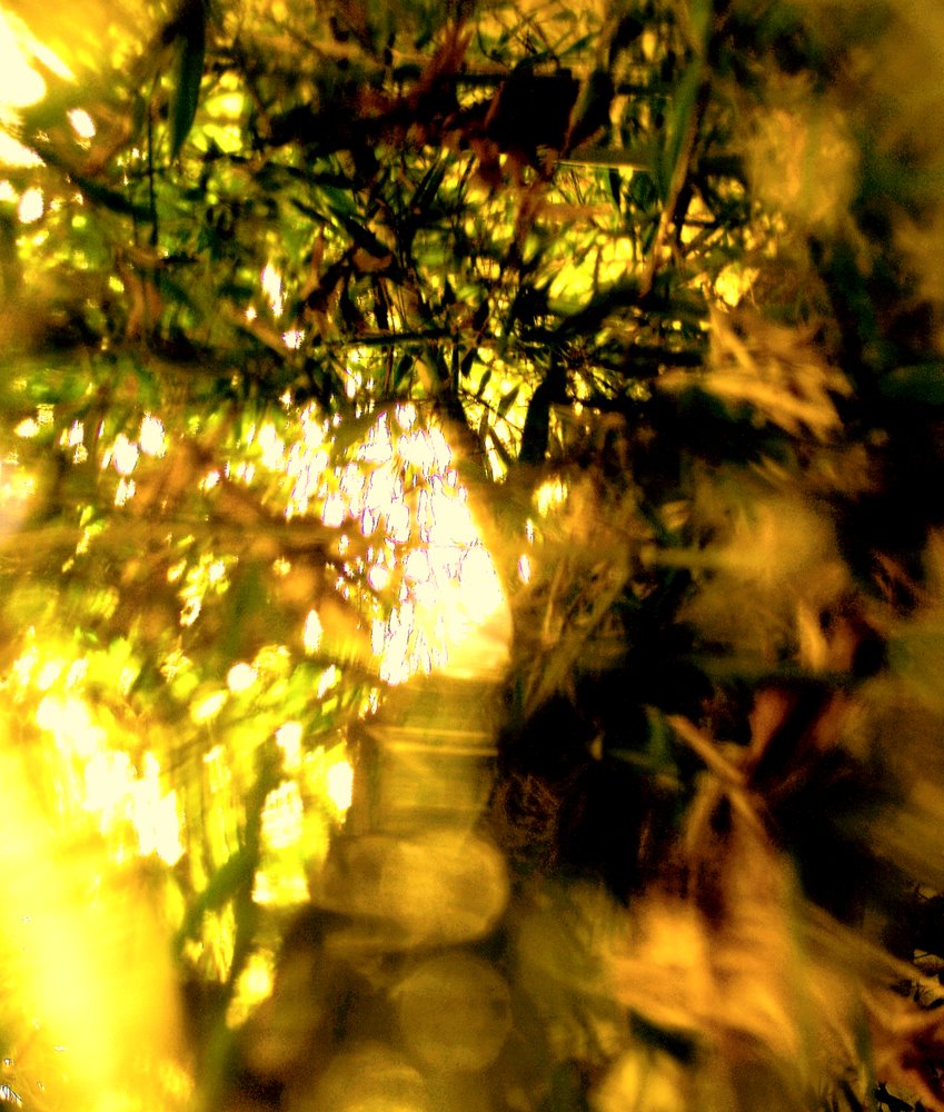 photo "***" tags: abstract, 