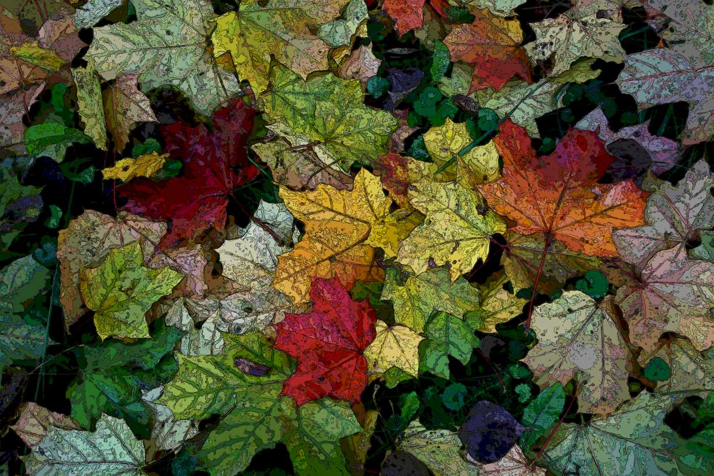 photo "The Autumn Carpet" tags: macro and close-up, nature, flowers