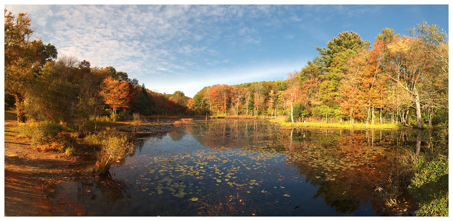 photo "***" tags: landscape, forest, water