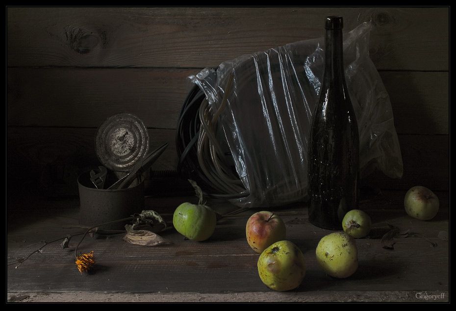 photo "Collect fallen apples" tags: still life, 