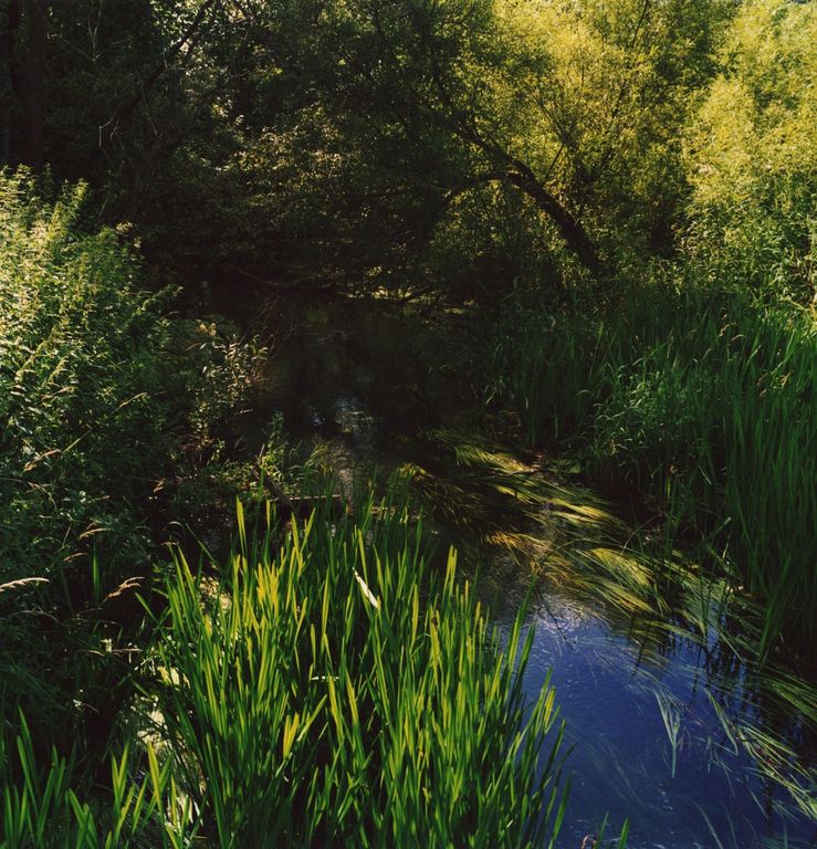 photo "***" tags: landscape, summer, water
