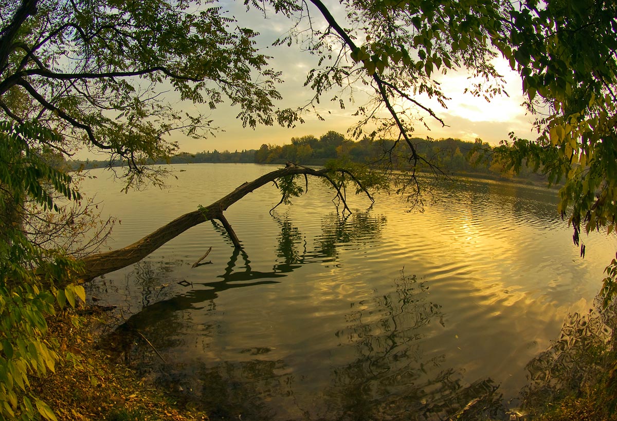 photo "***" tags: landscape, autumn