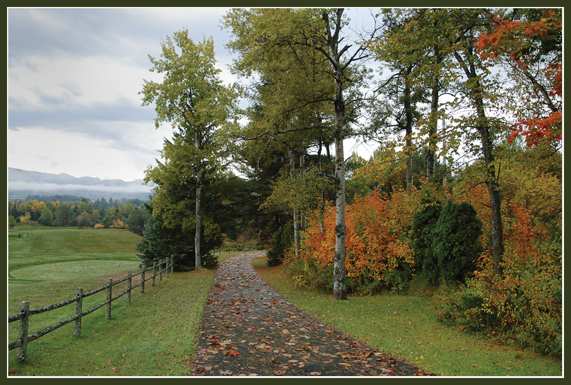 photo "***" tags: landscape, autumn, forest