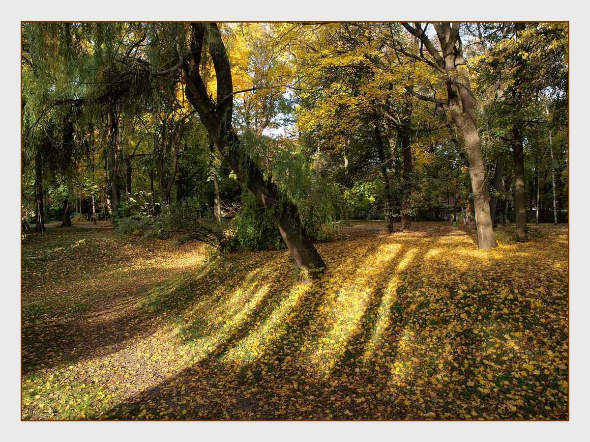 photo "***" tags: landscape, autumn, forest