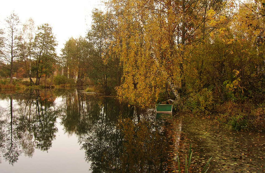 фото "Осеннее затишье" метки: пейзаж, вода, осень