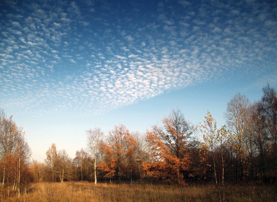 photo "October" tags: landscape, autumn