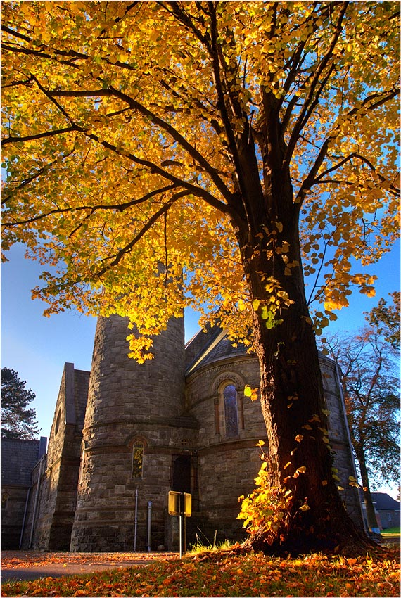 photo "Autumn Parish" tags: landscape, 