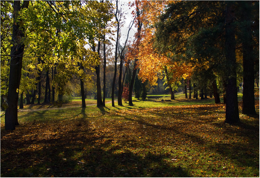 фото "***" метки: пейзаж, осень