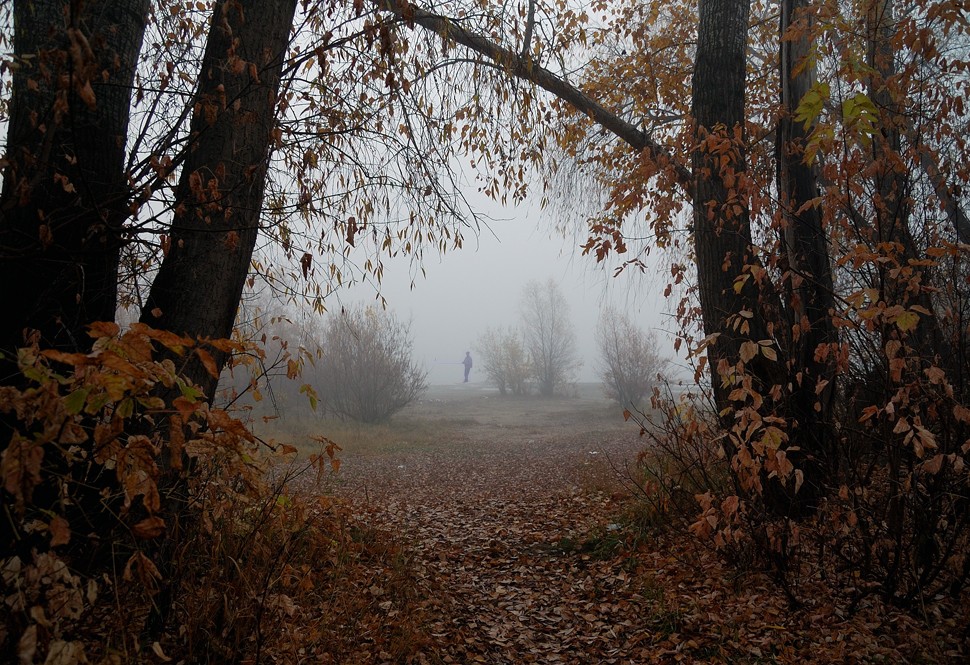 photo "***" tags: landscape, autumn, sunset
