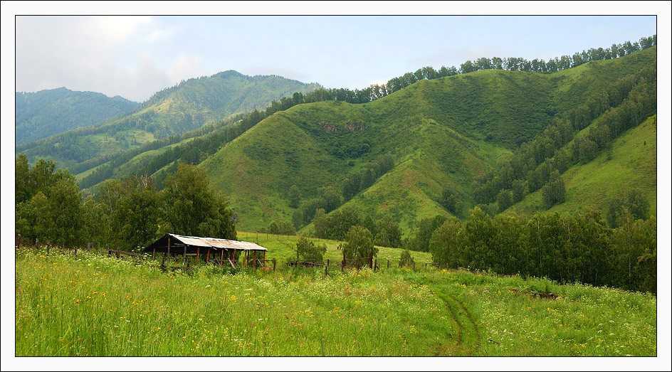 фото "По лесной дороге" метки: пейзаж, горы, лес