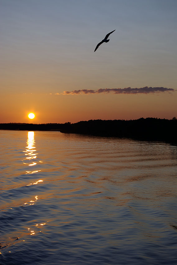 photo "***" tags: landscape, sunset, water