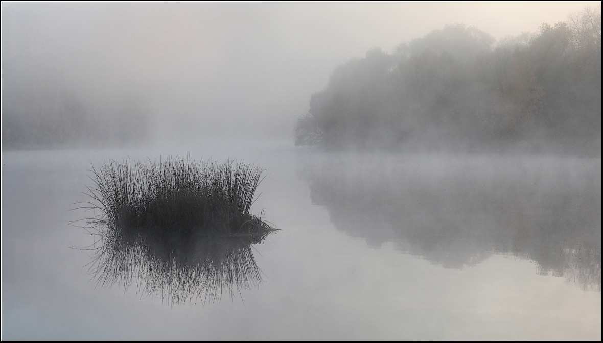 photo "Hedgehog in the Fog" tags: landscape, autumn, water