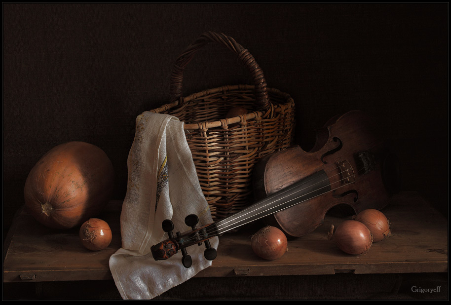 photo "Bulbs and violin" tags: still life, 