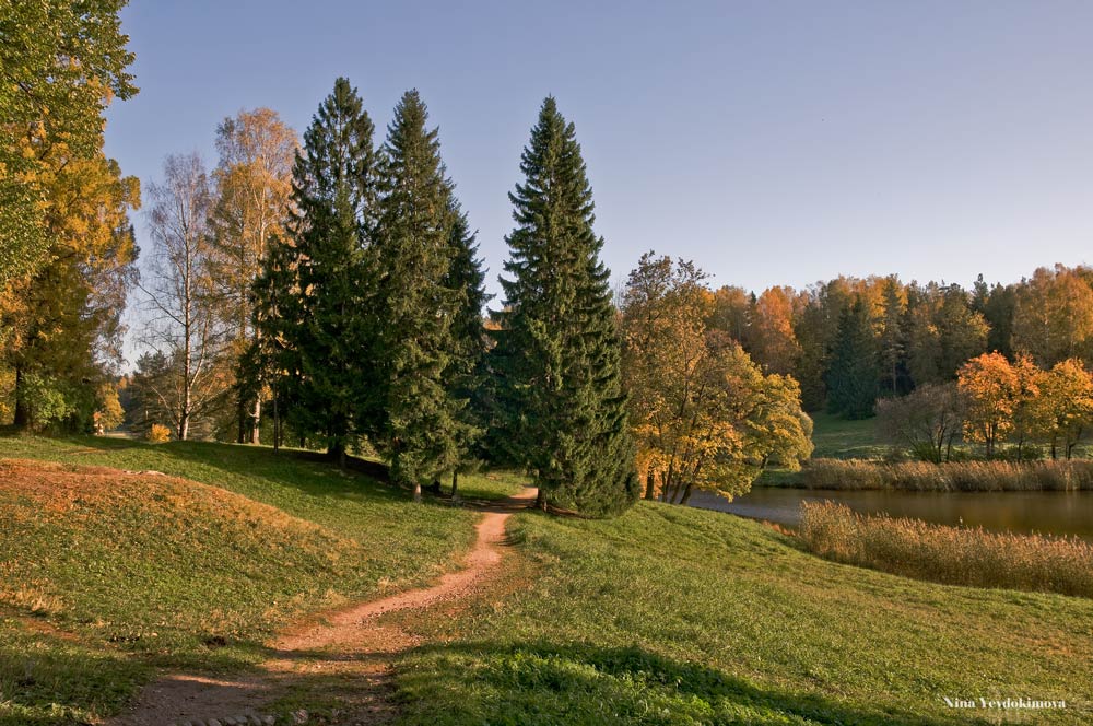 фото "По тропинке в осень" метки: пейзаж, лес, осень