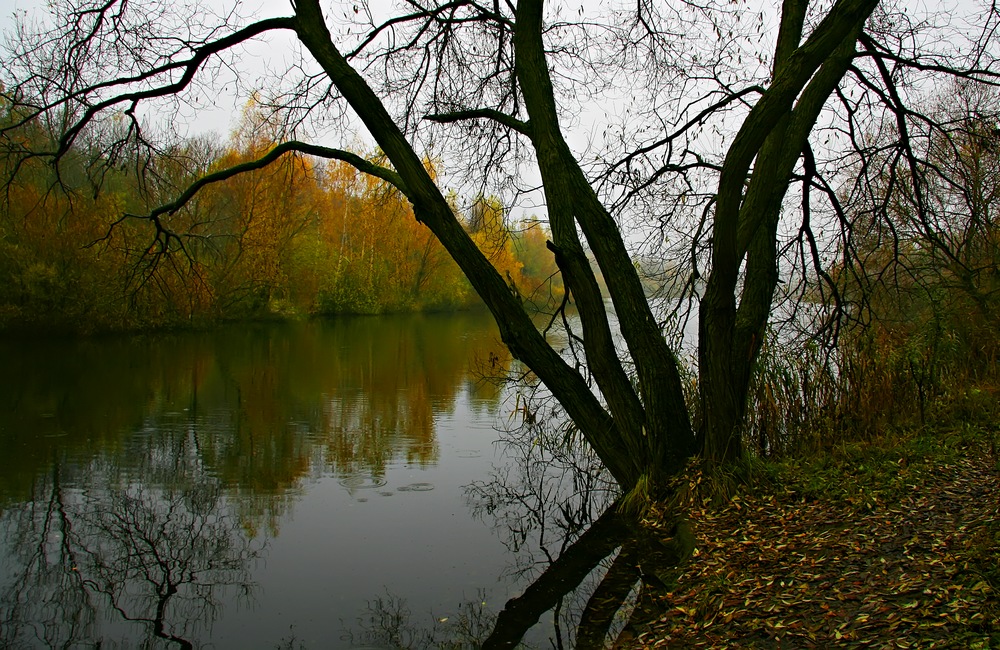 photo "***" tags: landscape, autumn