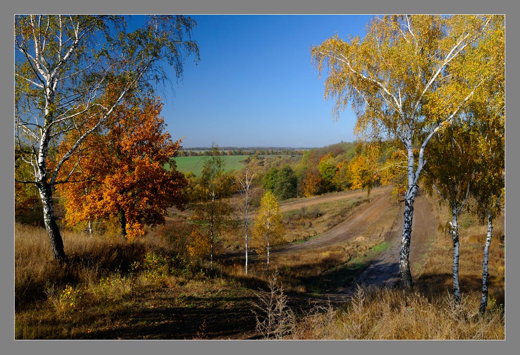 фото "***" метки: пейзаж, осень