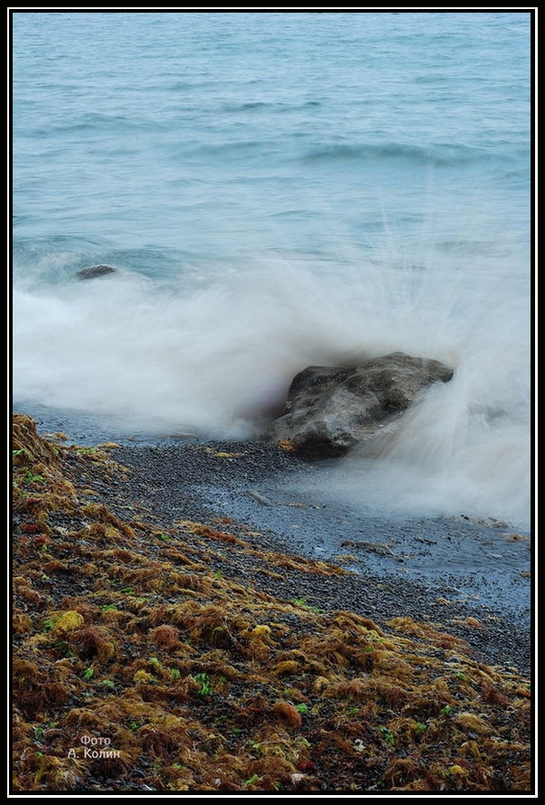 photo "***" tags: landscape, summer, water