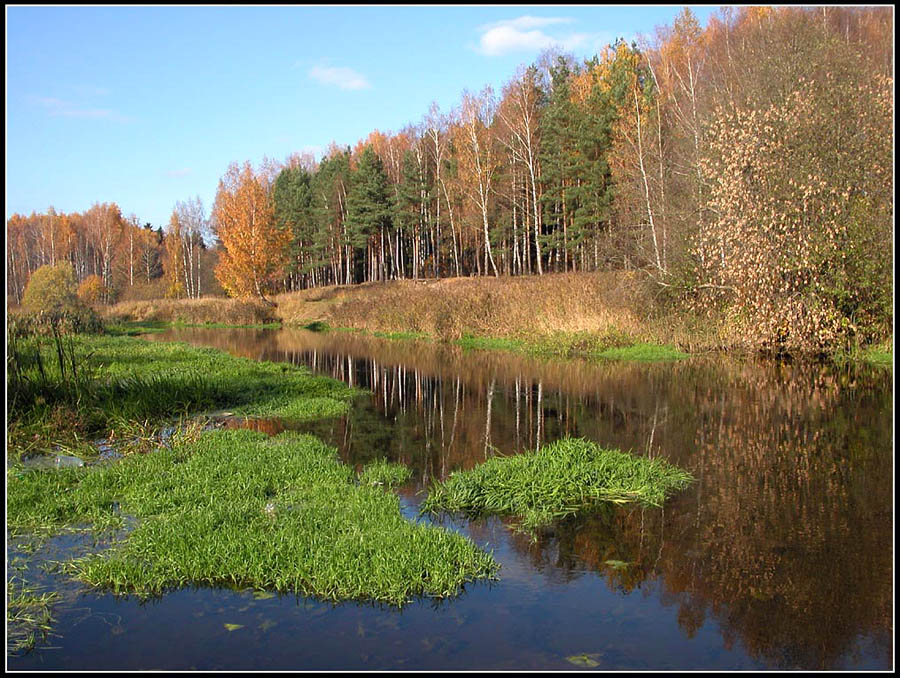 фото "Октябрь под Москвой" метки: пейзаж, вода, лес