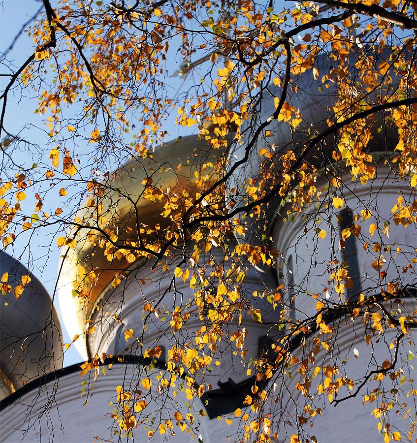 фото "Осень в Новодевичьем" метки: архитектура, пейзаж, 