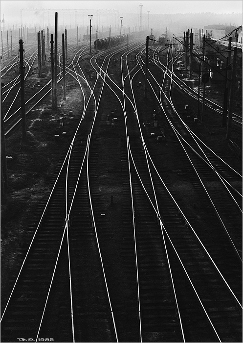 photo "Lines" tags: landscape, black&white, 