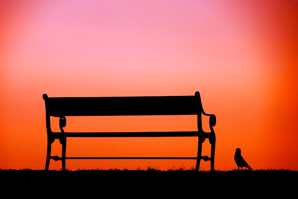 photo "The Bench..." tags: abstract, 