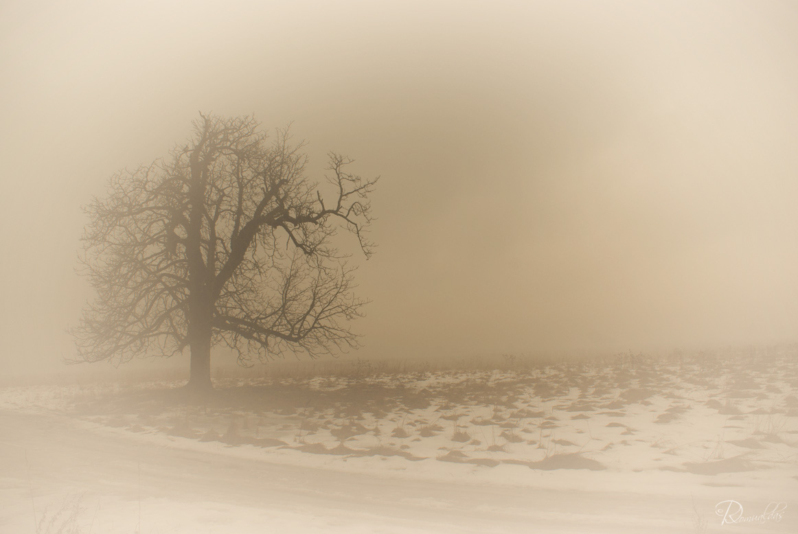 photo "***" tags: landscape, winter