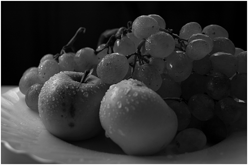 photo "***" tags: black&white, still life, 