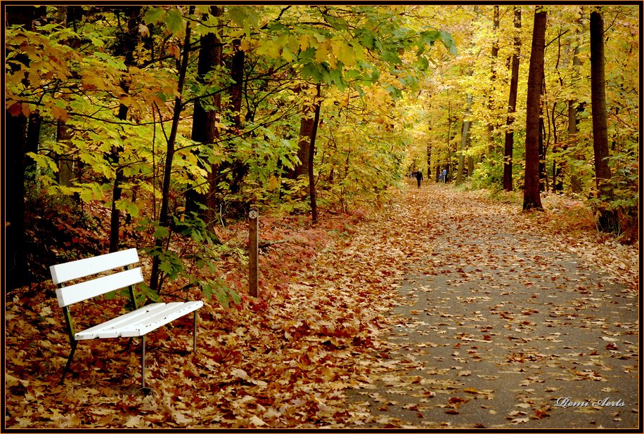 photo "sit and enjoy" tags: landscape, nature, autumn, flowers
