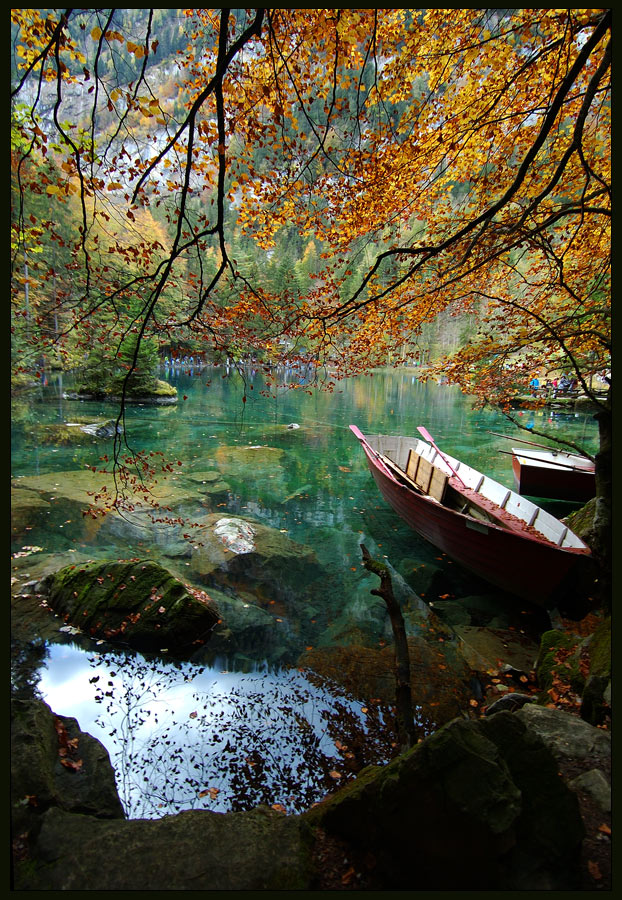 фото "Осень на Blausee" метки: пейзаж, вода, осень