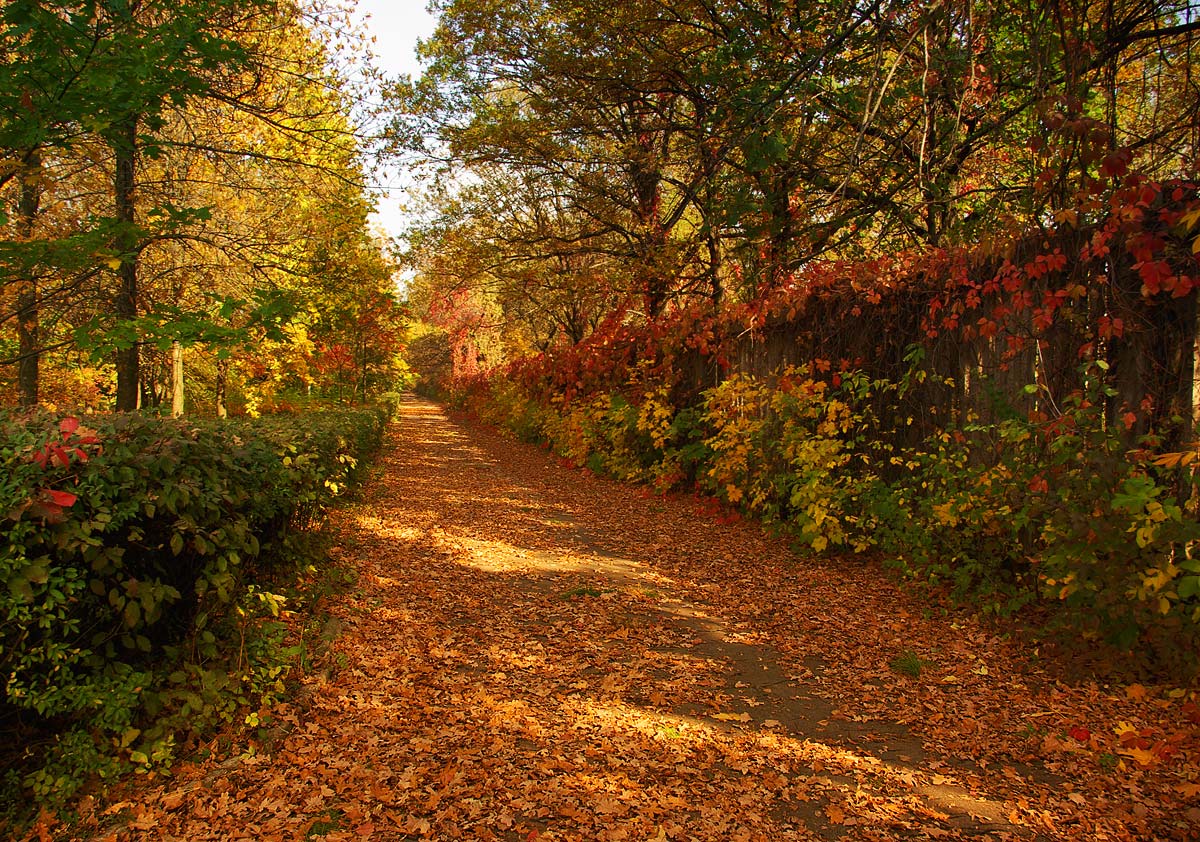 photo "***" tags: city, landscape, autumn