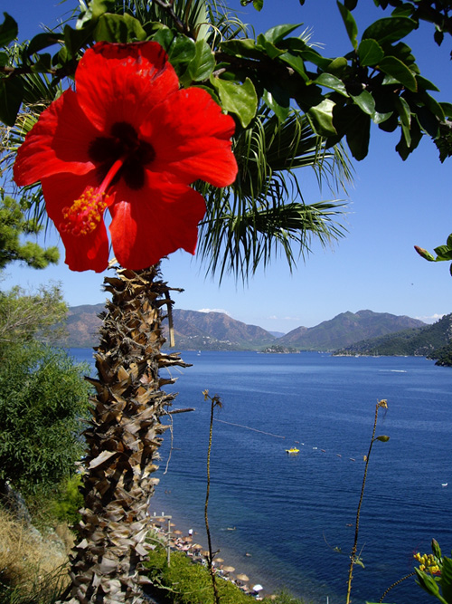 photo "***" tags: landscape, summer, water