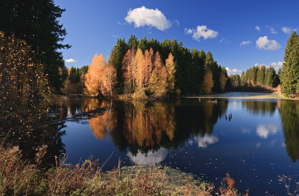 photo "***" tags: landscape, autumn