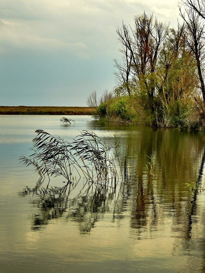 фото "Тихое место" метки: пейзаж, вода