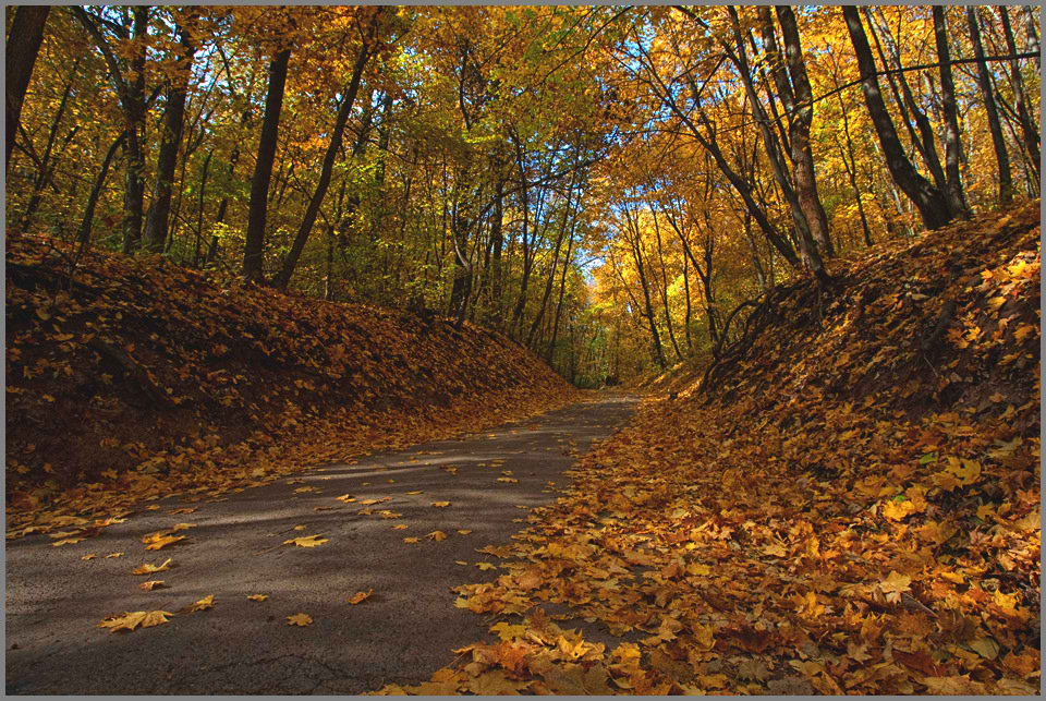 photo "***" tags: landscape, autumn