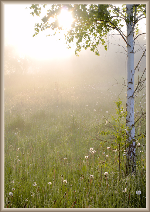 фото "***" метки: пейзаж, 