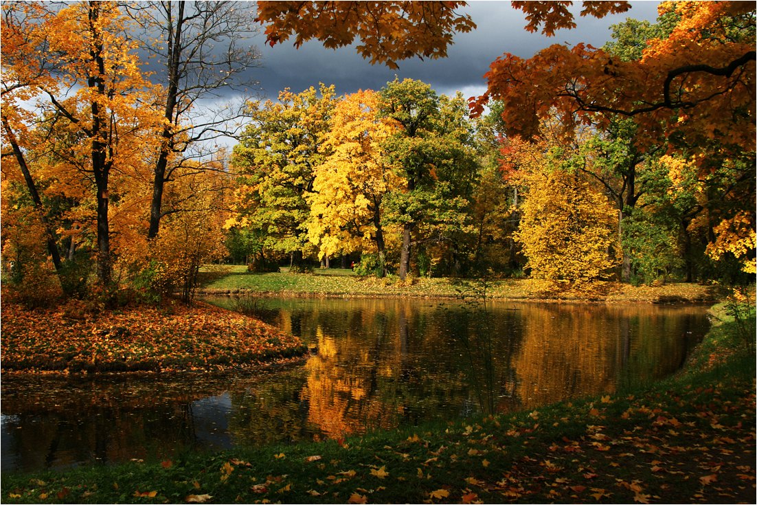 photo "In autumn park" tags: landscape, autumn, forest